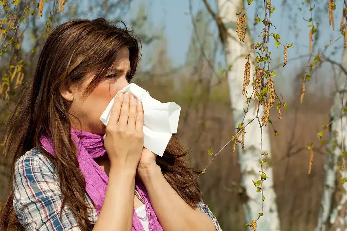 Birkenpollenallergie Ausloeser Birkenpollen Eine Frau putzt sich vor einer Birke mit einem Taschentuch die Nase