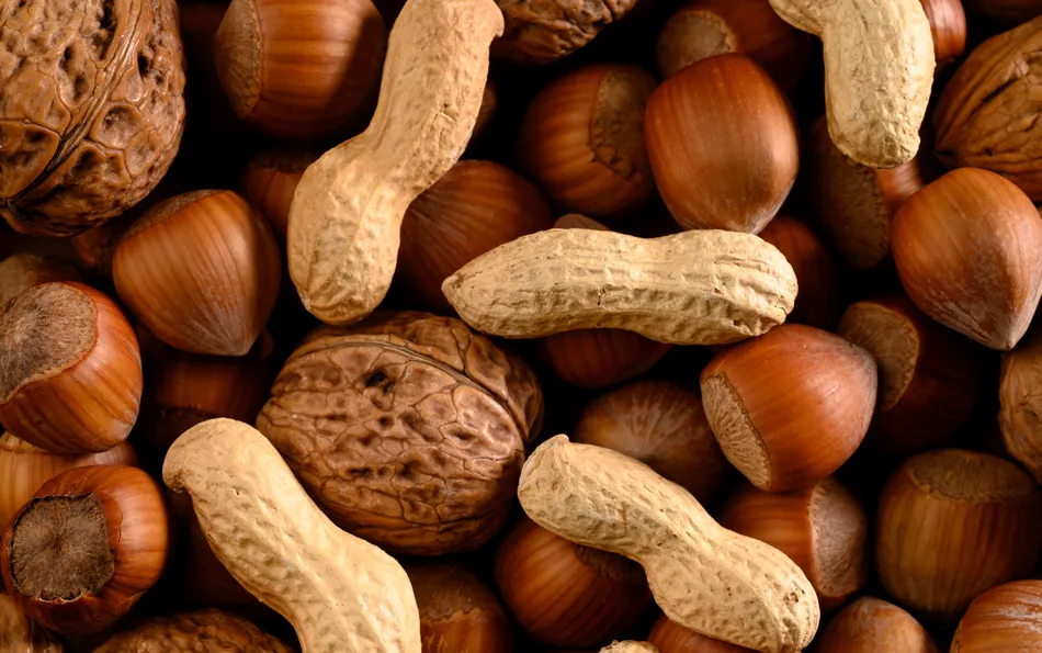 Großaufnahme von Haselnüssen, Walnüssen und Erdnüssen