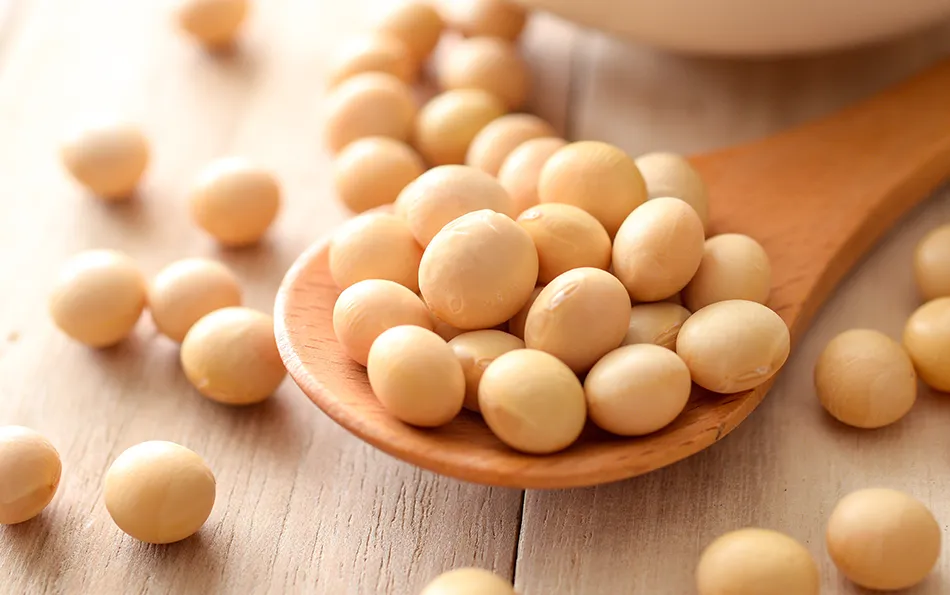 Sojabohnen auf und um einem Holzlöffel liegend der auf einem hölzernem Untergrund liegt