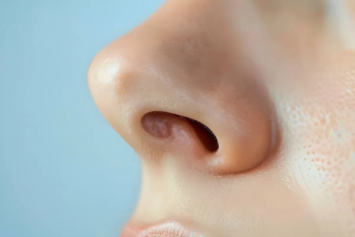 Nasenschleimhaut empfindlich Nahaufnahme einer Nasenöffnung