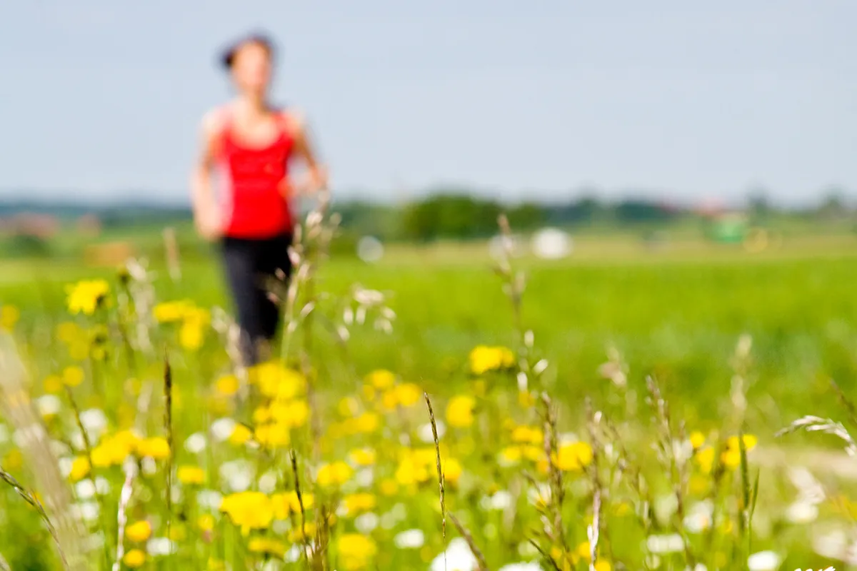 Tipps Sport bei Pollenallergie Eine blühende Wiese und eine verschwommene laufende Person im Hintergrund